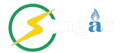 Songas TZ